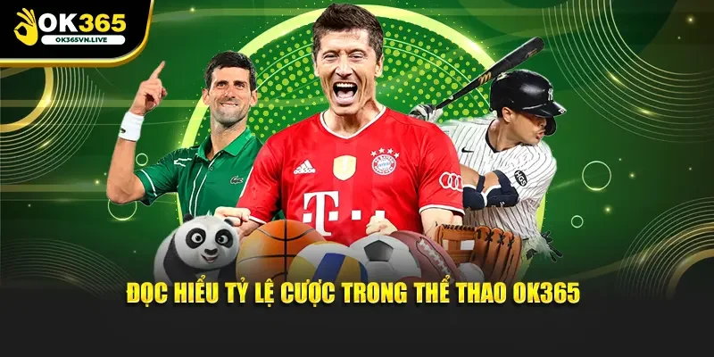 Đọc hiểu tỷ lệ cược trong thể thao OK365