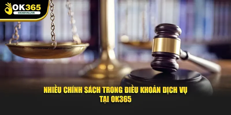 Nhiều chính sách trong điều khoản dịch vụ tại OK365