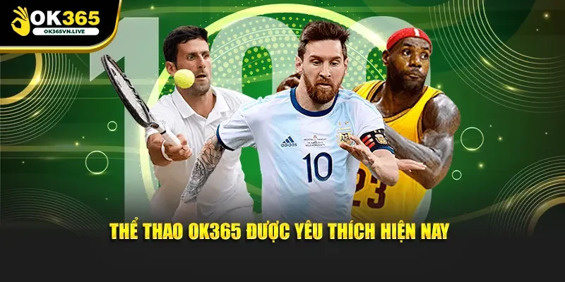 Ok365 Nâng tầm hiệu quả làm việc - Khám phá tiềm năng to lớn