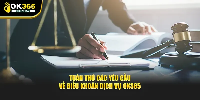 Tuân thủ các yêu cầu về điều khoản dịch vụ OK365